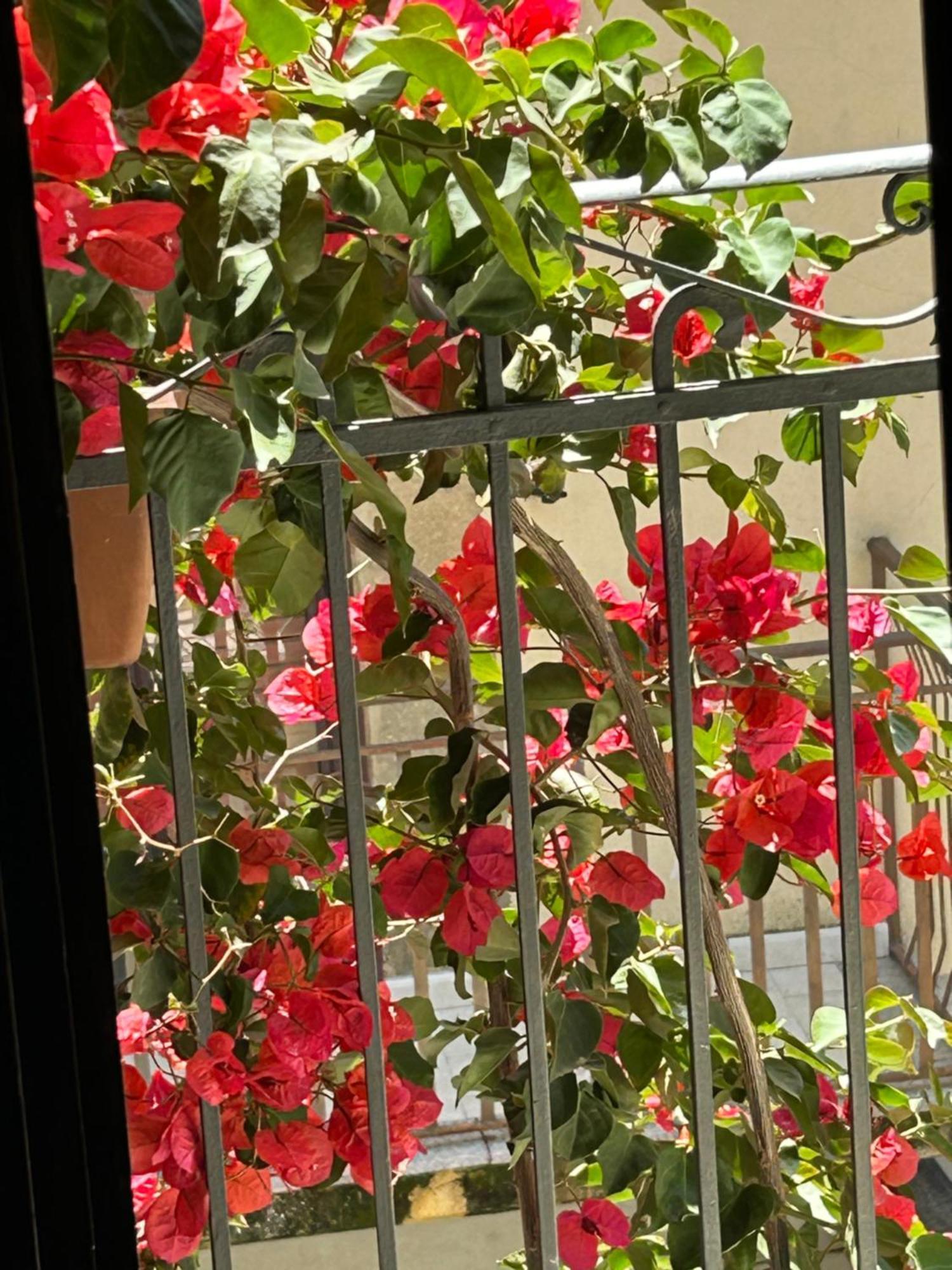 B&B L'Angolo Sulla Piazza Mirabella Imbaccari Exteriér fotografie