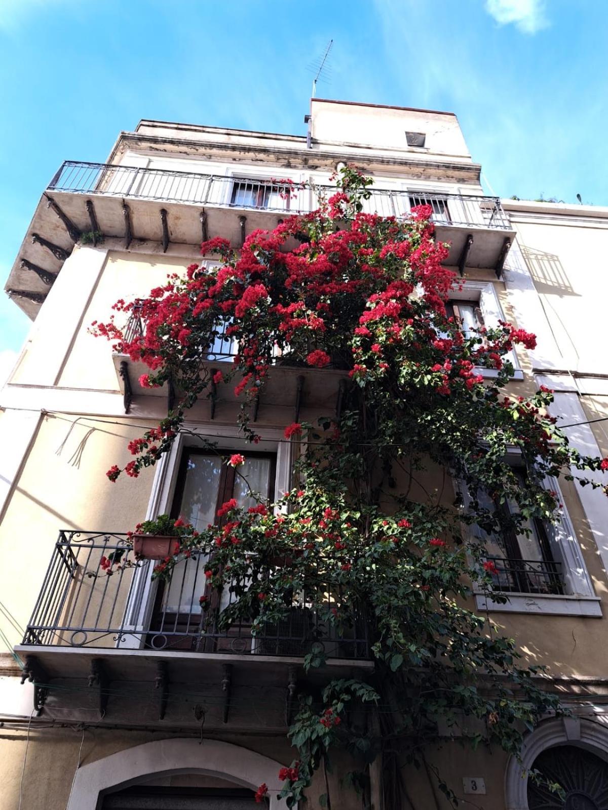 B&B L'Angolo Sulla Piazza Mirabella Imbaccari Exteriér fotografie